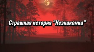 СТРАШНАЯ ИСТОРИЯ | НЕЗНАКОМКА | НА НОЧЬ