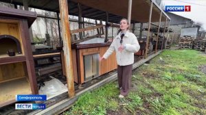 Ветеран СВО из Симферополя после демобилизации изготавливает экодомики для домашних животных