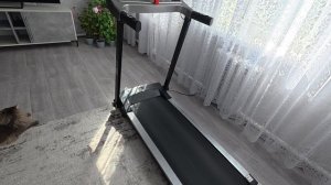 Как решила, так и будет. Не удивляйтесь.