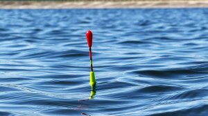 Драконы на поплавок и пикер! Рыбалка в забродниках!