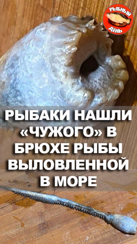 Рыбаки выловили рыбу с Чужим внутри