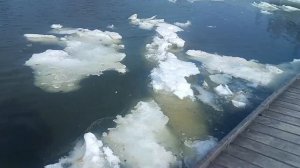 Вип зона на 01.04.2026г