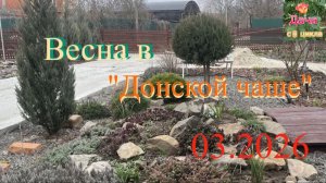 Весна в «Донской чаше»