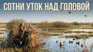 открытие  весенней охоты 2026