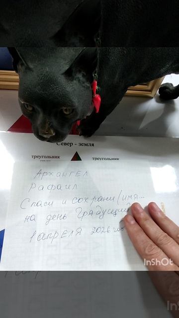 Ставим Защиту😇 смотреть онлайн