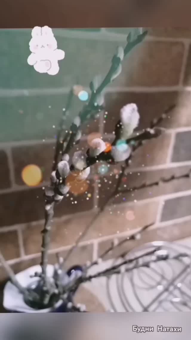 Веточки с почками. Запусти весну в дом!