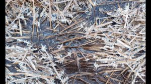 А. Грибоедов. "А судьи кто?". Монолог Чацкого.  Отрывок  из комедии  "Горе от ума".