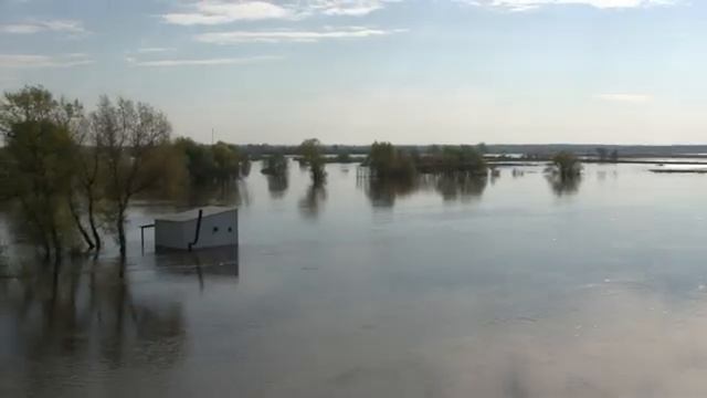 Весна в Мучкапе (2011-2026)