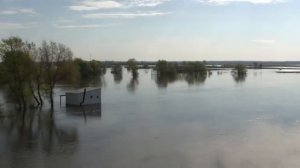 Весна в Мучкапе (2011-2026)