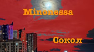 Minonessa - Сокол