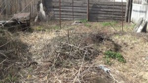 ОБЪЕМ РАБОТЫ💥  ОЧИСТКА ДВОРА 💥   ПОДПИШИСЬ