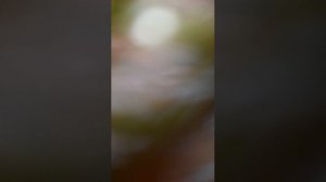 копаю до камня