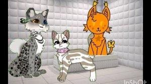 Отомстила и отвезла Рокси в дурку