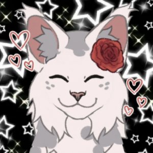 готовим лапшу по китайски(мой рецепт)