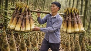 Собираю побеги бамбука. Отправляюсь на рынок продавать и готовлю еду на свежем воздухе. Вьетнам