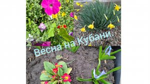 30.03/ Весна на Кубани/ Наша жизнь на юге/ Борьба с травой/ Снова выигрыш/Живём и работаем на Кубани