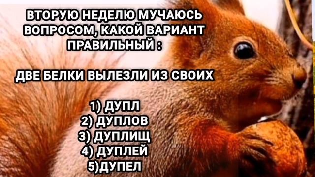 🤣 Анекдот из Сыктывкара