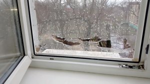 Замена москитной сетки на рамке окна