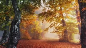 Осенний вальс