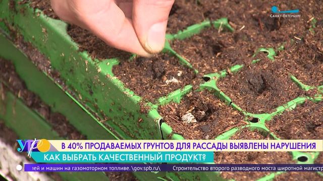 40% проверенных в Петербурге грунтов для рассады не соответствуют требованиям