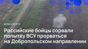 Российские бойцы сорвали попытку ВСУ прорваться на Добропольском направлении