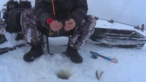 СЕВЕР! НАКИДАЛ КОРЮШКИ В САНИ И ДОМОЙ ВАРИТЬ УХУ!