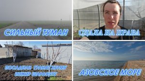 СДАЛА НА ПРАВА В СИЛЬНЫЙ ТУМАН, ВСПАХАЛИ ОГОРОД, ПОБЕЛИЛА И ОБРАБОТАЛА ДЕРЕВЬЯ, СЪЕЗДИЛИ НА МОРЕ