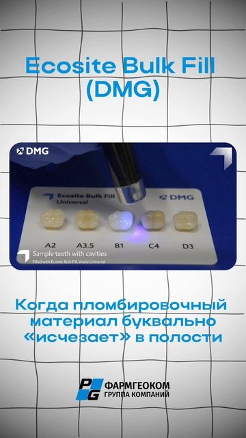 🔎 Ecosite Bulk Fill (DMG) демонстрирует выраженный эффект хамелеона