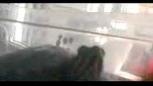 Чирины уловки