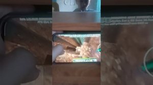 маенкрафт 4серия