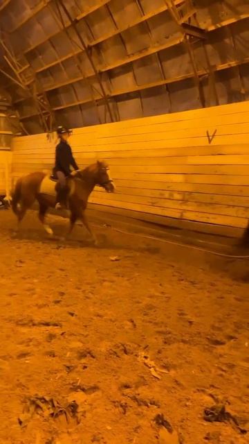 Banana! #equestrian #equestrianlife #horse #конныйблог #конныймир #конныйспорт #лошадки #лошади