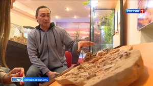 В международном журнале палеобиологии опубликована статья о «вятском крокодиле»