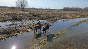 После лесной прогулки, необычные ложки и продуктивное утро