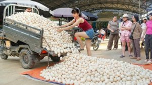 Таймлапс. Собираю много гусинных и куринных яиц для продажи на рынке.