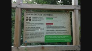 Останец Лягушка на Сахалине.mp4