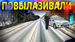 Потеплело))) Повылазили((( $1706