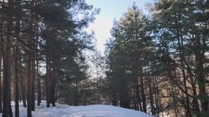 Опять начинаем новую жизнь. Просыпаемся