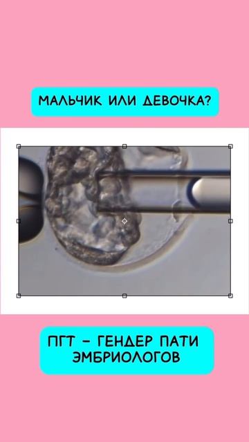 Что такое ПГТ и зачем он нужен?