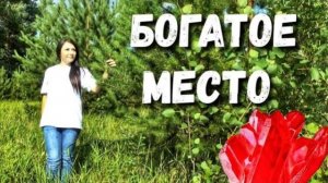 НАХОДКИ СТАРОВЕРОВ с красным 🔴 камнем и много монет: "ДЕВУШКА С УМА СОШЛА, обронив драгоценность"