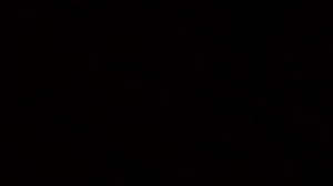 разоблачение на кто-то