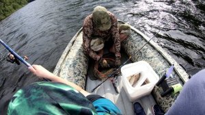 Крупный Ленок на мушку