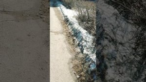 Североуральск. Улица Мира и парк Победы в грязи и мусоре.