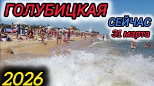🔥ГОЛУБИЦКАЯ СЕЙЧАС🔥СЕЗОНА 2026 НЕ БУДЕТ?😱 (31.03.26) #голубицкая #азовскоеморе #море