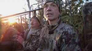 Охота на гуся в Архангельской области