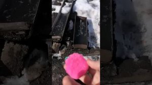 Сашка Чашка