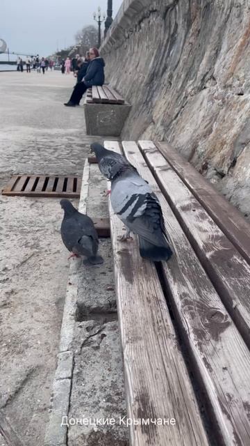 1 апреля😃
С Днём смеха!
Пусть у вас будет больше поводов для улыбок и смеха 🤗