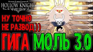 Any Radience 3.0 с ПЕРВОЙ попытки, но есть Нюанс... / Самый сложный босс в Мире? / Hollow Knight