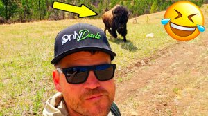 ✅ Я РЖАЛ ДО СЛЁЗ, СМЕШНЫЕ ПРИКОЛЫ 2026, СБОРНИК ПРИКОЛОВ, ЛУЧШИЕ ПРИКОЛЫ, С ДЕВУШКАМИ, С КОТАМИ