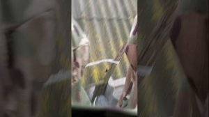 парку👌упал телефон в го*но😱