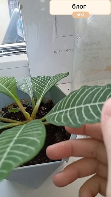 как проходит мой день